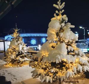 Το Hotel Bernerhof Grindelwald τον χειμώνα