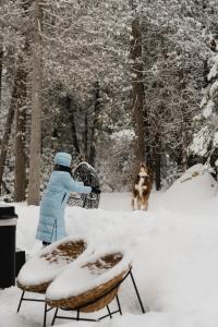 Zen House 6 - Villas & Spa v zimě + 138 fotografií