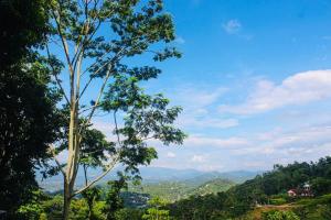 a tree on a hill with a view of a valley at Cloudora Inn Kandy in Kandy