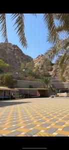 una palmera y un edificio con una montaña al fondo en Crestora farm, en Ras al Khaimah
