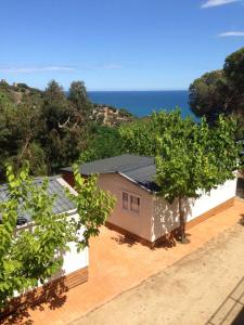 Příroda nedaleko prázdninového areálu