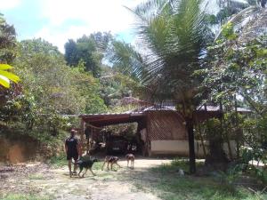 Foto sihtkohas Rio Preto Da Eva asuva majutusasutuse Sítio do guerreiro galeriist +17 fotot