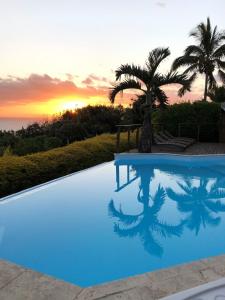 a blue swimming pool with a palm tree and the sunset at Villa spa Grand Anse in Petite Île