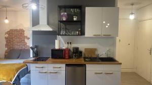 een keuken met een wastafel en een bed in een kamer bij La Hestia à 2 pas du Château in Sedan