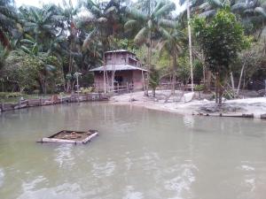 Loodusmaastik palkmajakese lähedal