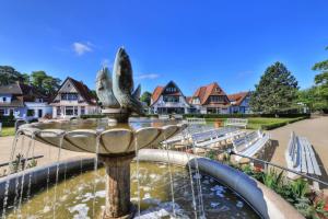 a fountain in a park with houses in the background at Kastanienhof Whg 07 in Boltenhagen