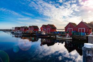 a group of red houses and boats in the water at Kastanienhof Whg 07 in Boltenhagen