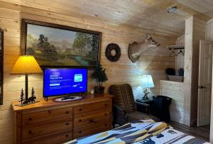 TV a/nebo společenská místnost v ubytování The Drake Cabin in The Forest