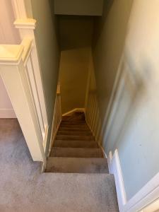 eine Treppe in einem Haus mit grünen Wänden in der Unterkunft Leamington Spa Town House, cosy central house in Leamington Spa