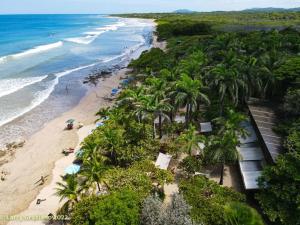 an aerial view of a beach with palm trees and the ocean at The Wave House in Santa Cruz