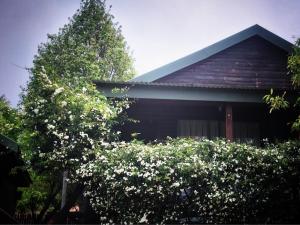 een huis met een boom en een struik met witte bloemen bij Cinnamon & Sage Country Cabins in Dullstroom