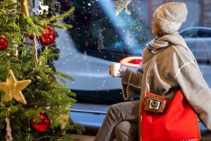 Hosté ubytování Hôtel Diana Dauphine