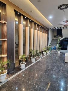 瓦拉纳西Hotel Seth Villas的走廊里一排摆放着的盆栽植物，走廊里还有楼梯。