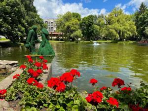 Výhled na řeku, která protéká v blízkosti rezortu