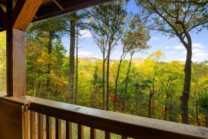 Příroda nedaleko prázdninového domu + 93 fotografií