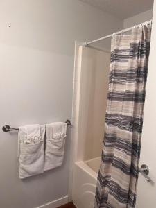 ein Badezimmer mit einem Duschvorhang und einer Badewanne in der Unterkunft Casa Tarriela by Noel and Liza-Bungalow Upstairs in Edmonton