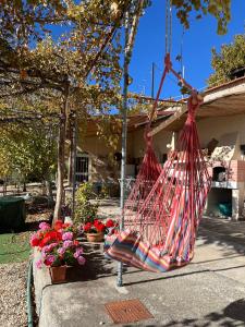 a hammock hanging from a tree in a yard at Olive Grove Cottage Guest house in Kouka