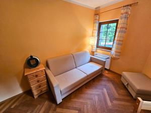 a living room with a couch and a window at Rodinný apartmán Pec pod Sněžkou 3 - 1x parking available in Pec pod Snezkou +26 photos