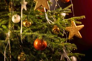 Φωτογραφία από το άλμπουμ του Hotel D - Strasbourg στο Στρασβούργο