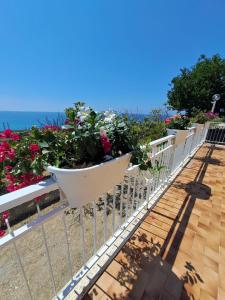 a balcony with flowers on a fence at Margareth suite and terrace in San Lucido