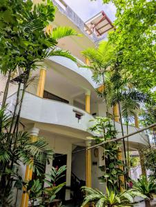 a house surrounded by trees and plants at Costels Coconut hill in Mirissa