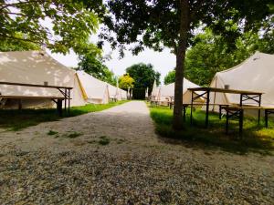 a row of tents in a field with trees and a road at O Pedrouzo Pilgrim Camp in O Pedrouzo +10 photos