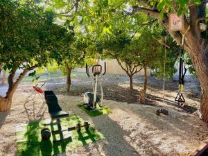 a park with trees and a swing and a swing at Glamping de Huerta La Arboleja in Murcia