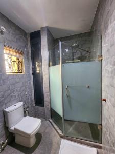 a bathroom with a toilet and a glass shower at Masters Class Apartments in Mama +24 photos