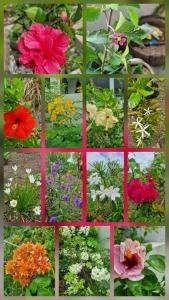 Φωτογραφία από το άλμπουμ του Kazalea σε Mt Bois Noir