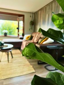 a living room with a couch and a table at Rustiek Boschalet Sven Veluwe met Omheinde Tuin in Putten