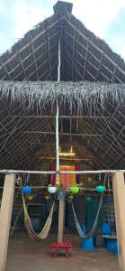 Φωτογραφία από το άλμπουμ του WoodPacker Hostel Pondicherry σε Auroville