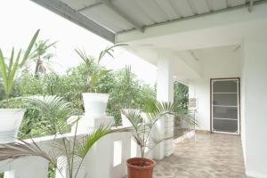 a hallway with potted plants on a white wall at Willy's Home Stay in Parūr +3 photos