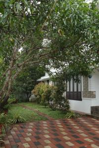 a house with a tree in front of a brick driveway at Willy's Home Stay in Parūr