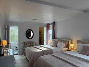 Un dormitorio con dos camas y un espejo. en Maison Charles Edmond, en Grandes-Bergeronnes