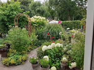 Κήπος έξω από το Drenthse-Groninger landschap