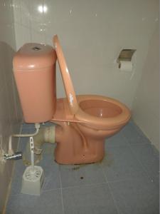 baño con aseo con tapa en Mara Safaris BNB, en Bomet