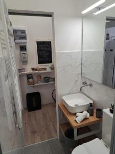 a bathroom with a white sink and a counter at The way to trieste bikes storage in Trieste