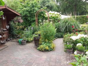 Κήπος έξω από το Drenthse-Groninger landschap