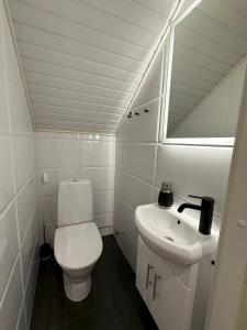 ein kleines Badezimmer mit Toilette und Waschbecken in der Unterkunft Nordic Nest B in Vantaa
