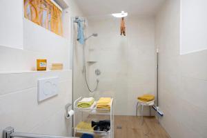 a bathroom with a shower and a cat laying on a shelf at Ferienwohnung Grünfelder in Au +11 photos