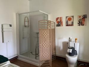 ランゴーニュにあるL Écho de la rivièreのシャワーとトイレ付きのバスルーム +15枚の写真
