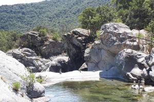een groep eenden die in een vijver staan bij Casa La Colombaia in Poggio-di-Nazza