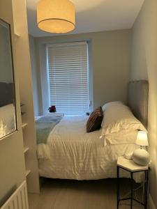 a bedroom with a large bed with a window at Cosy Ground-Floor Flat in Omagh Centrally located in Omagh