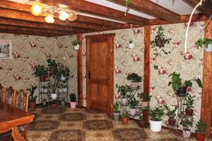 a room with a bunch of potted plants on the wall at Сільська садиба in Yablunytsya +17 photos