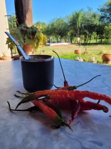 Zahrada ubytování Cabañas La Juanita