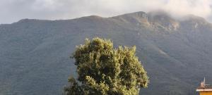 Nespecifikovaný výhled na hory nebo výhled na hory při pohledu z penzionu