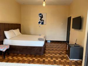 a small room with a bed and a television at Kivuli Inn in Moshi