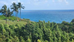 a view of the ocean from a hill with palm trees at Wai Lani in Princeville
