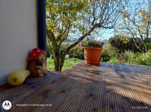 a teddy bear sitting on top of a wooden table at Casa Albinelor in Braşov +3 photos