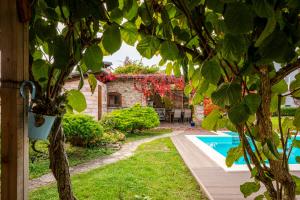 Κήπος έξω από το Apartman Flower Garden